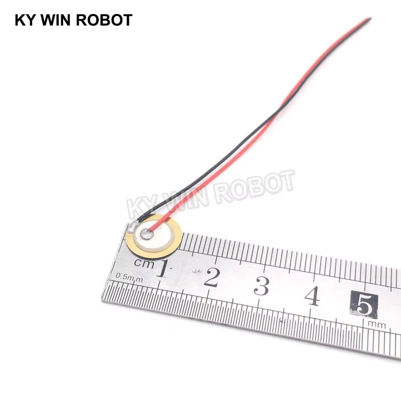 10 Buah Pelat Wafer Keramik Pi - Diy With Electronics ulasan dan harga