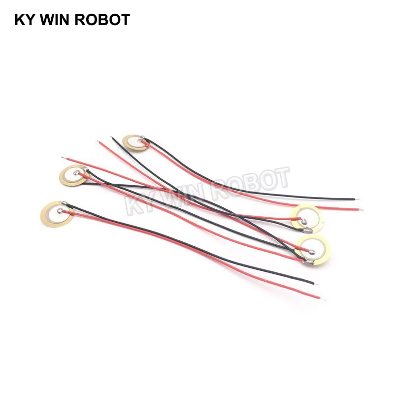 10 Buah Pelat Wafer Keramik Pi - Diy With Electronics ulasan dan harga