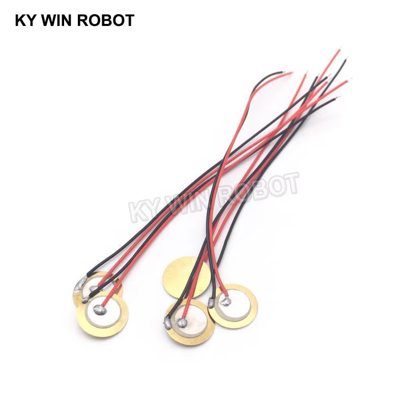 10 Buah Pelat Wafer Keramik Pi - Diy With Electronics ulasan dan harga
