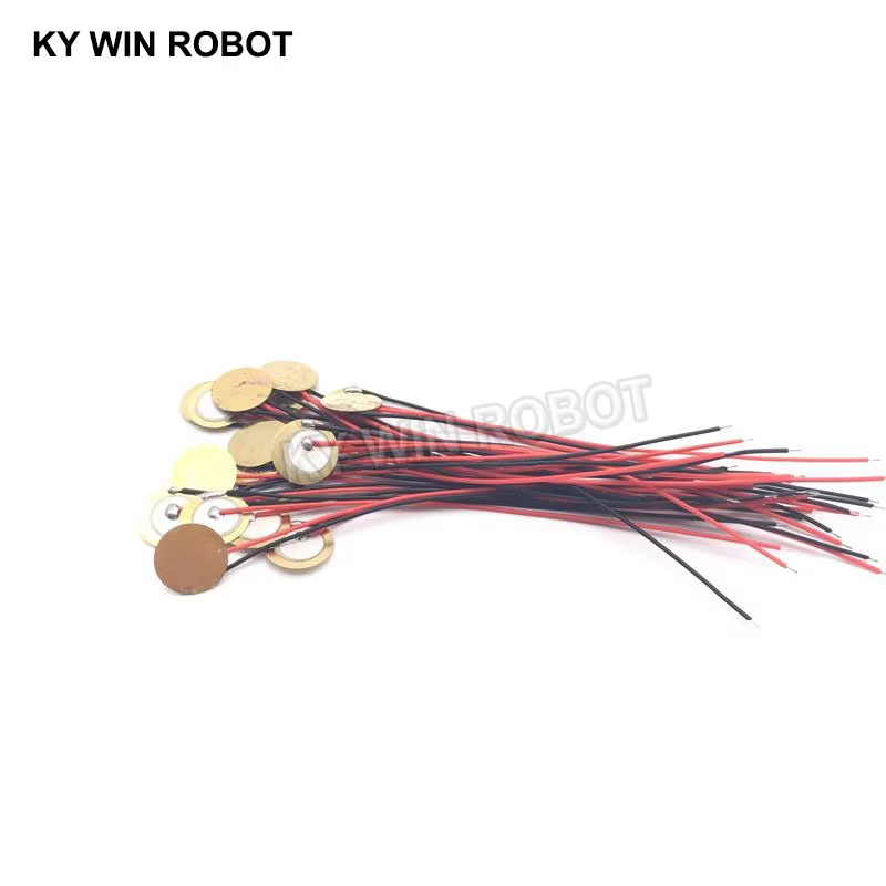 10 Buah Pelat Wafer Keramik Pi - Diy With Electronics ulasan dan harga